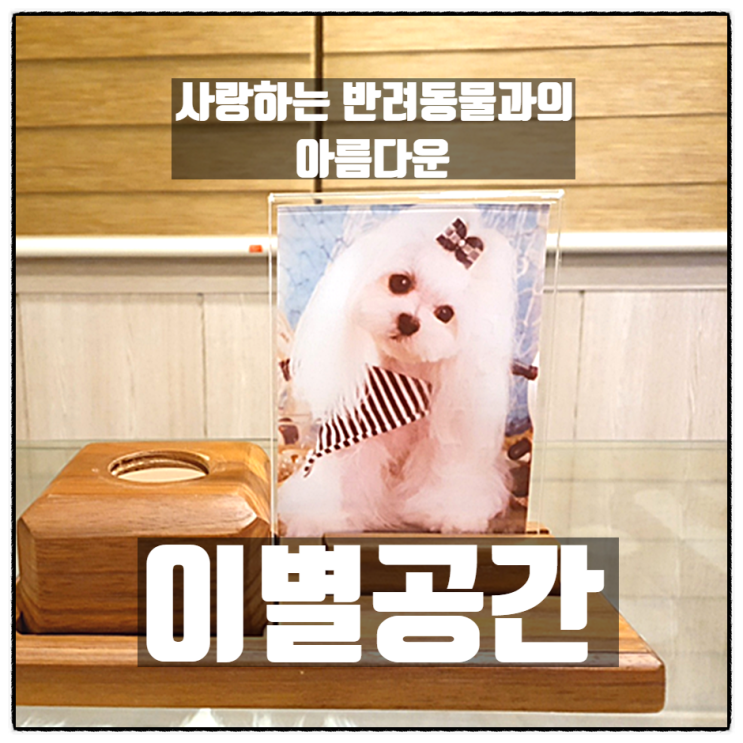 반려동물과의 아름다운 이별공간 / 양산애견장례식장 양산강아지야간장례 반려동물과의 아름다운 이별공간 / 양산애견장례식장 양산강아지야간장례