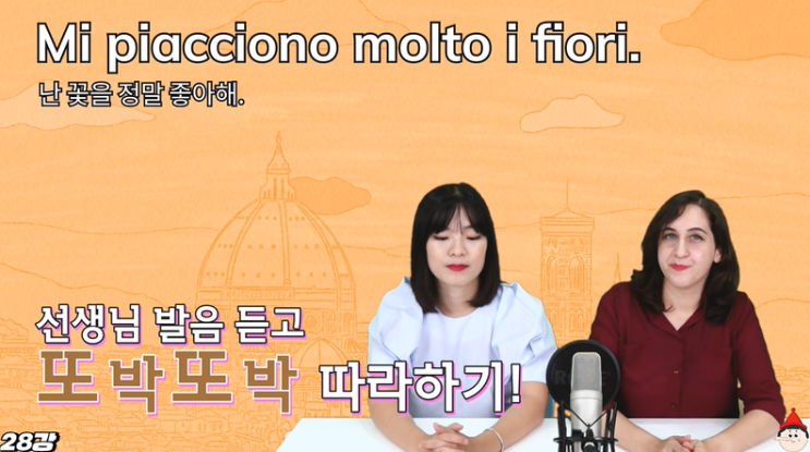 성인학습지로 이탈리아어 독학 미니학습지 추천 12주차 Mi piacciono molto i fiori