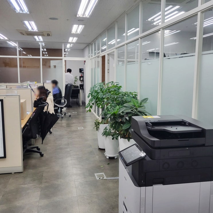  가압류 가처분 가등기 본인의 상황에서 가장 필요한 대안을 찾는다면