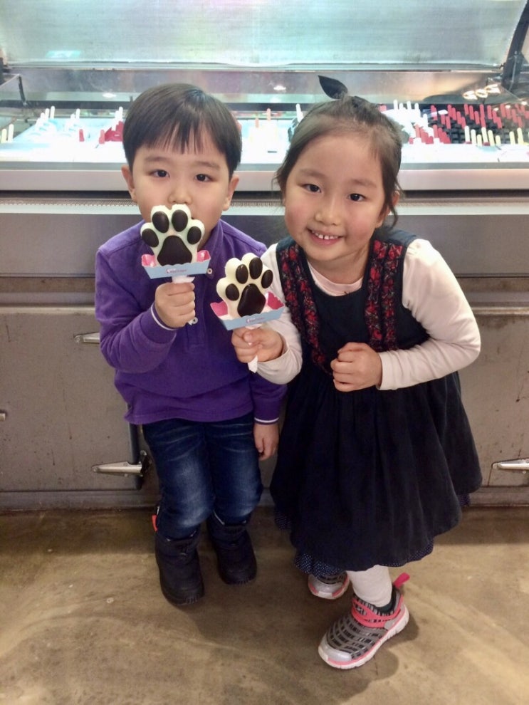 순간포착 1월 21일에 이런일이 | 슬쌍디아빠 과거로의 산책 육아일기