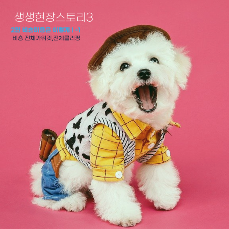  동글동글 귀염둥이 비숑의 방문미용 이야기(feat.도그케어) 1편- 전체 클리핑, 전체 가위컷-2편