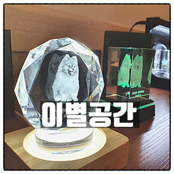  양산반려견장례 양산강아지야간장례식장 이별공간 소개