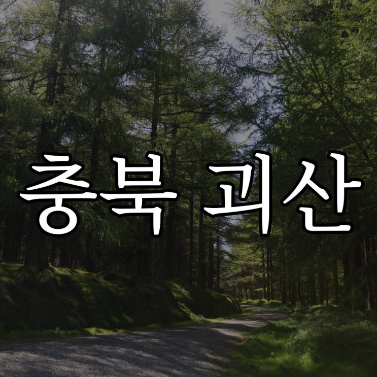  충북 괴산 시골 마을 / 실화 레전드 무서운 이야기
