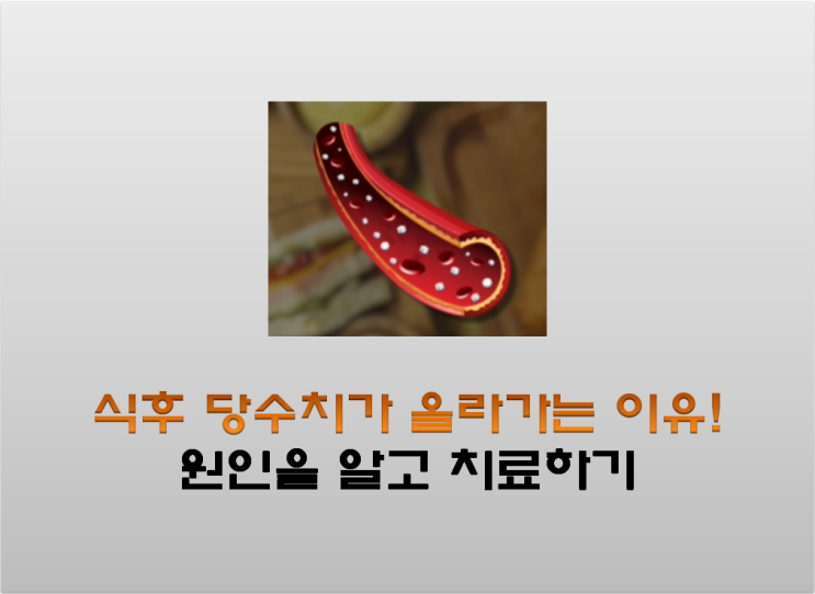 식후 당수치가 올라가는 2가지 이유