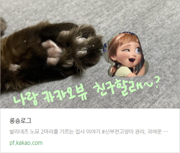  카카오뷰 뷰린이.... #카카오뷰 친추 #카카오뷰 수익화 #카카오뷰 맞추