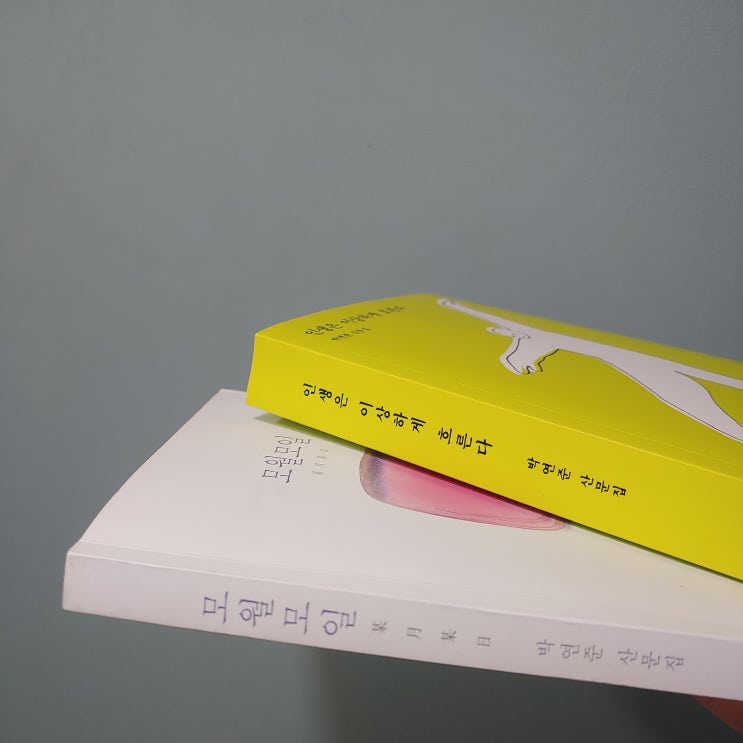  요즘 읽는  책