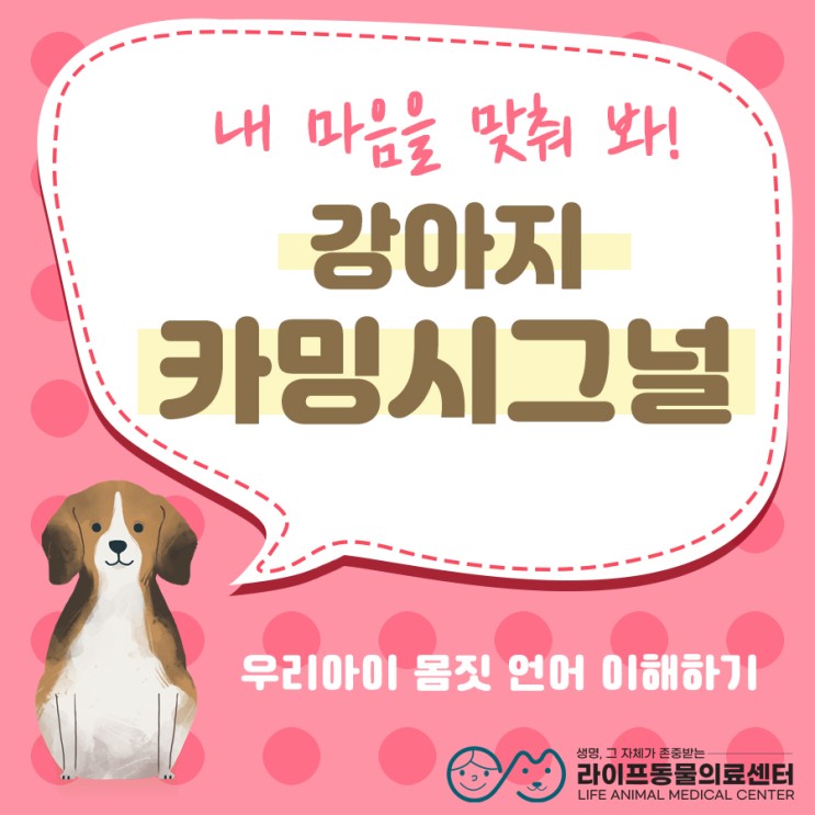 [대구24시동물병원] 강아지랑 대화하기 : 강아지 언어 '카밍시그널' 배워봐요!