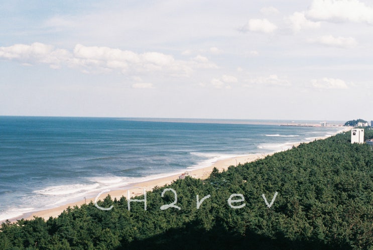  [Crazy Travel of Film Camera]Sky, Sea, Wood and...