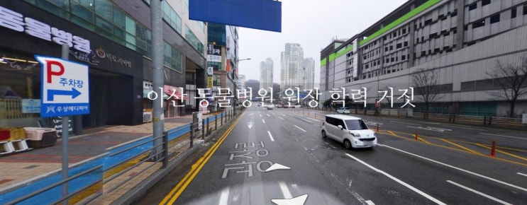 충남 아산 동물병원 이름 17년 간 강아지들 죽음 원장 서울대 학력 거짓 충남 아산 동물병원 이름 17년 간 강아지들 죽음 원장 서울대 학력 거짓