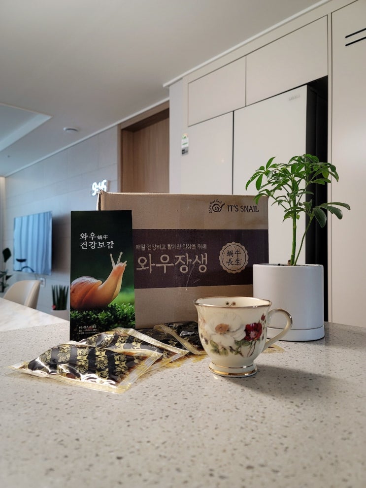  부모님 설날 선물 추천,와우장생 달팽이엑기스(건강기능식품, 잇츠스네일)