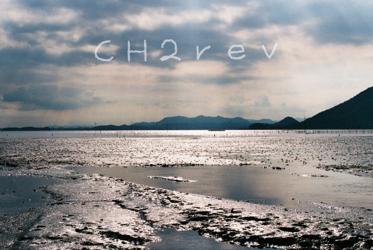  [Crazy Travel of Film Camera]Shining Mudflat
