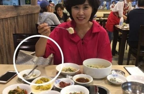  고야드 가방 가격인상 국모김혜경 건사랑 팬카페