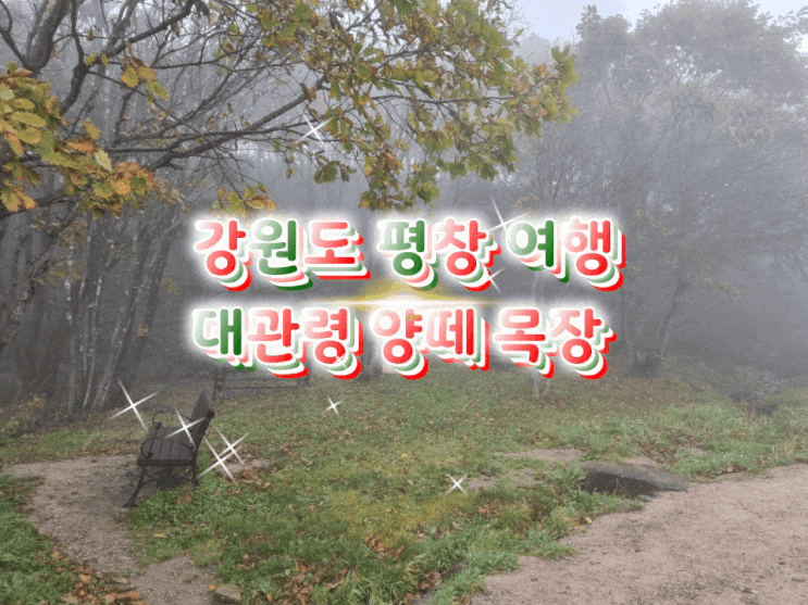  강원도 평창여행 대관령양떼목장 후기