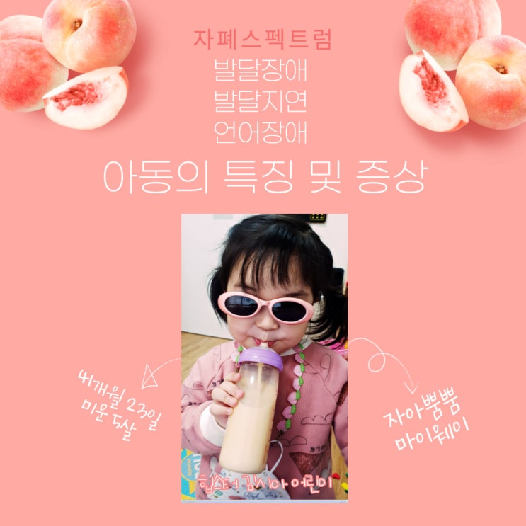  41개월 자폐스펙트럼 , 발달장애 , 발달지연 , 언어장애 아동 특징 및 증상