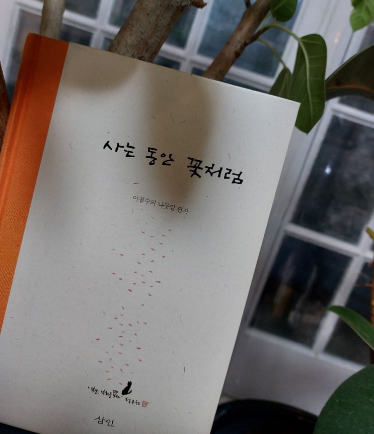 <에세이> 사는 동안 꽃처럼 이철수의 나뭇잎 편지 <에세이> 사는 동안 꽃처럼 이철수의 나뭇잎 편지