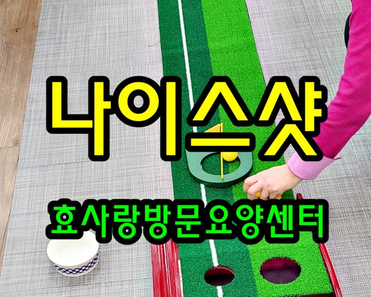  동탄 화성 병점 방문요양 센터/주간보호/효사랑방문요양센터/나이스 샷