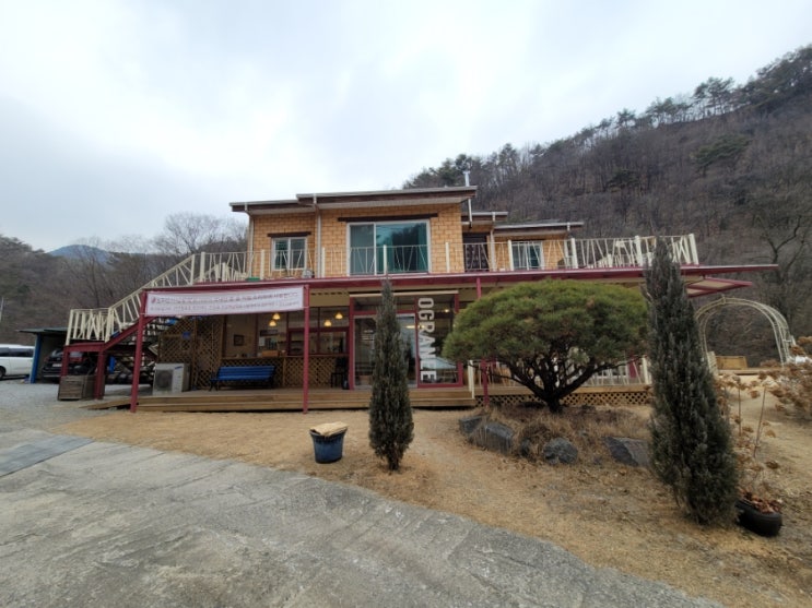  영월 오그란이 단팥빵/영월 빵맛집/애견동반카페