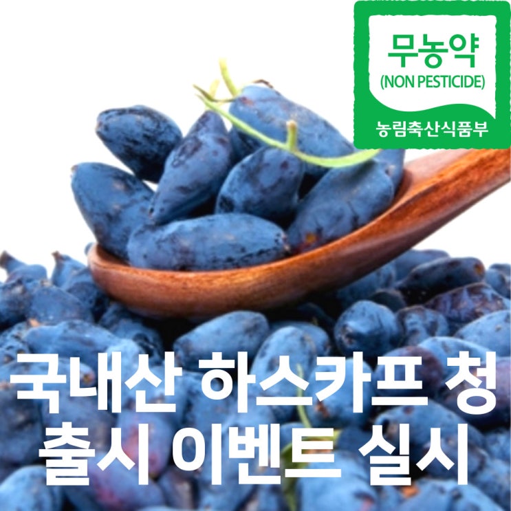 요즘 아내의 눈이 피로하다고 해서 만나게 된 하스카프 열매