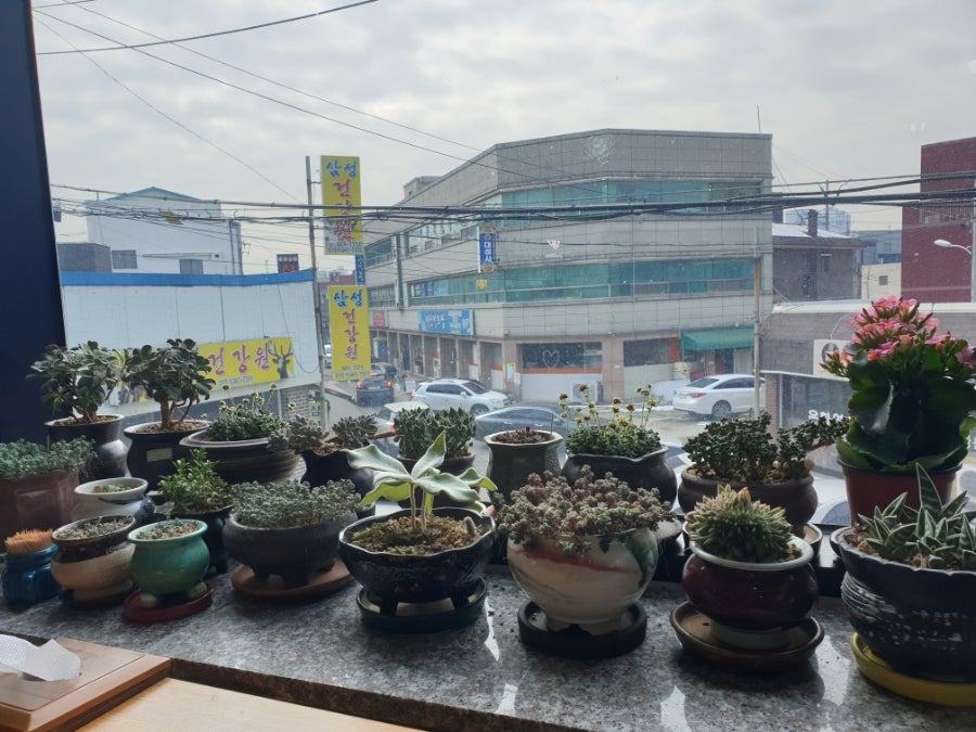별미식당 사진 6