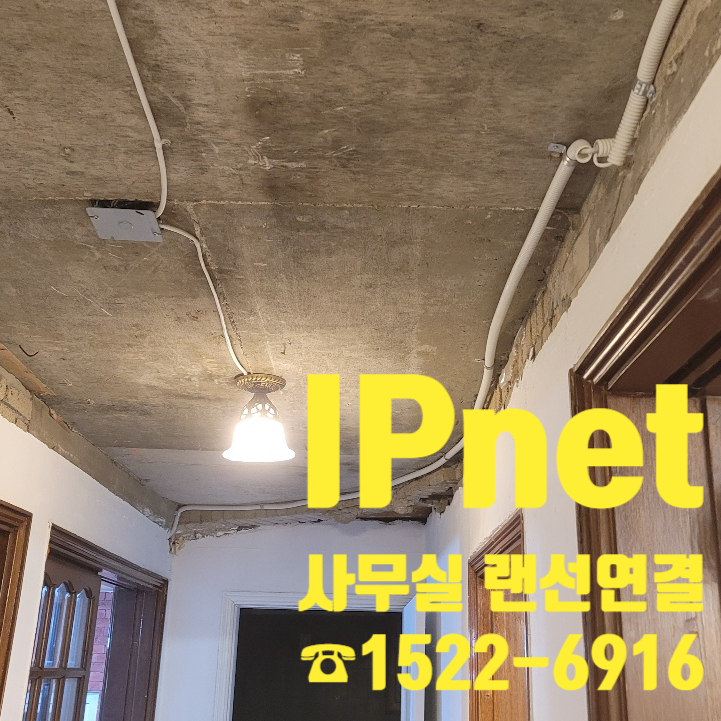  사무실 인터넷 랜선 연결 작업하기 / 마포구 성산동 현장 사례