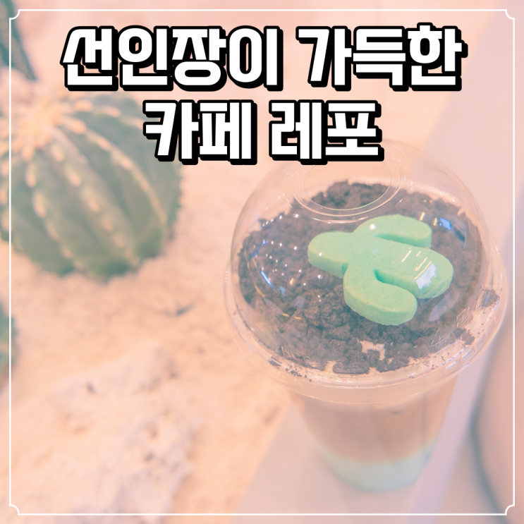  [대전 탑립동 선인장 컨셉 이쁜 카페 - 카페 레포]