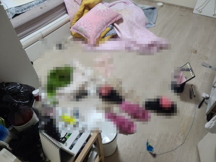  늦은 밤 부천 고독 사처리를 했지만 청소를 마무리 못하여 아쉽습니다.
