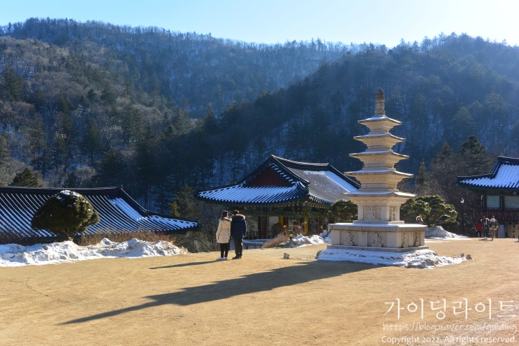 평창 오대산 "상원사" 겨울 - 세조가 아꼈던 천년의 문수도량