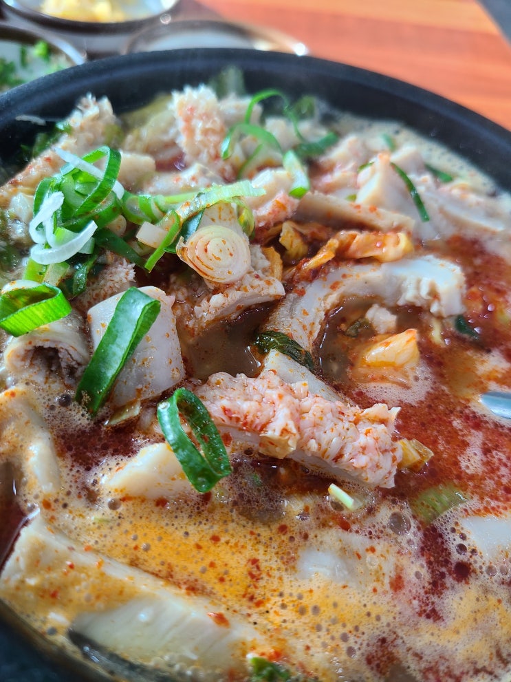  성산 맛집, 제주도내 1픽 내장탕이 있는 산지해장국 성산점 내돈내산 후기