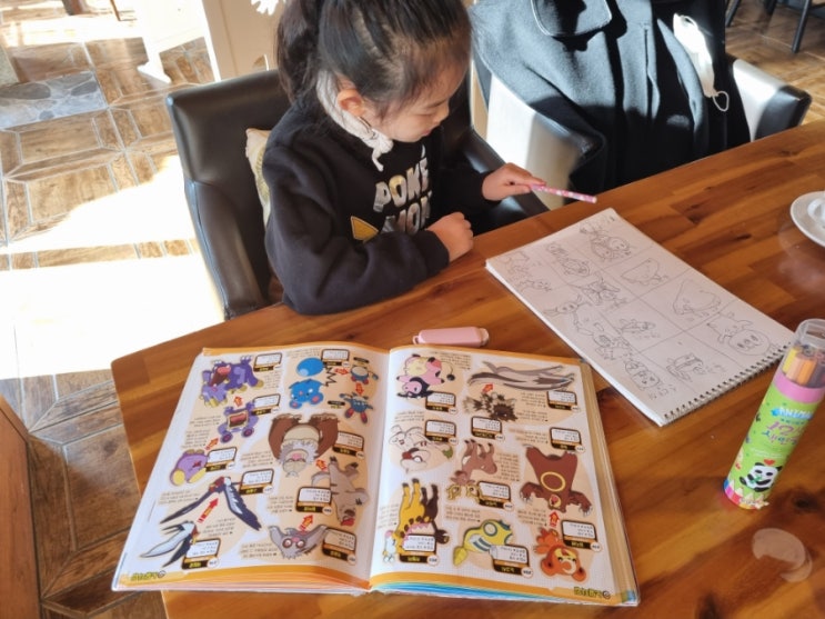 포켓몬 전국대도감 이제는 우리 아이 외출 필수품이 되었어요 포켓몬 전국대도감 이제는 우리 아이 외출 필수품이 되었어요
