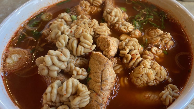  대구 중구 종로 맛집-제주곤이칼국수