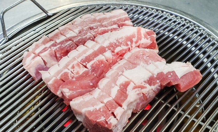  강아지 삼겹살 돼지고기 효능, 급여, 섭취 주의사항