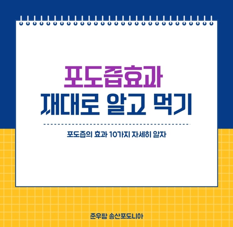  포도즙효과 칼로리 제대로 알고 먹기