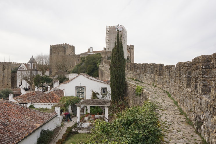 포르투갈 여행 : 오비두스 (Obidos) 예쁜 중세마을