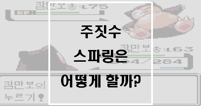  [운동] 주짓수 스파링 어떻게 할까?(주짓수 9주차)