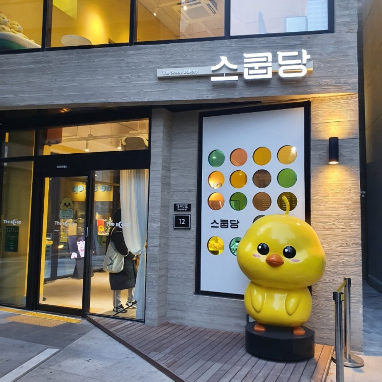  대구 동성로 스쿱당 마카롱 선물로도 추천드려요~