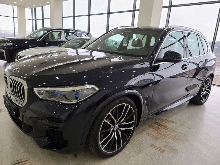 2022 BMW X5 40i 정비사 출장 신차 검수 후기/ 천안 신차 검수