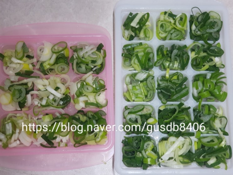 대파 손질법부터 대파 큐브 냉동 보관법 대파 김치 간단하게! 대파 손질법부터 대파 큐브 냉동 보관법 대파 김치 간단하게!