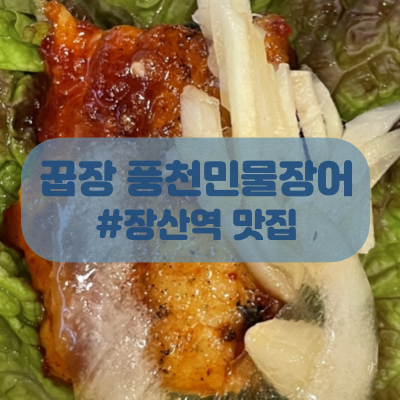  장산역 맛집 부산 민물장어로 유명한 꿉장 풍천민물장어 소금구이 후기