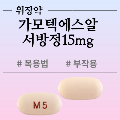  가모텍에스알서방정15mg 위장약 복용법과 부작용 알아봅시다