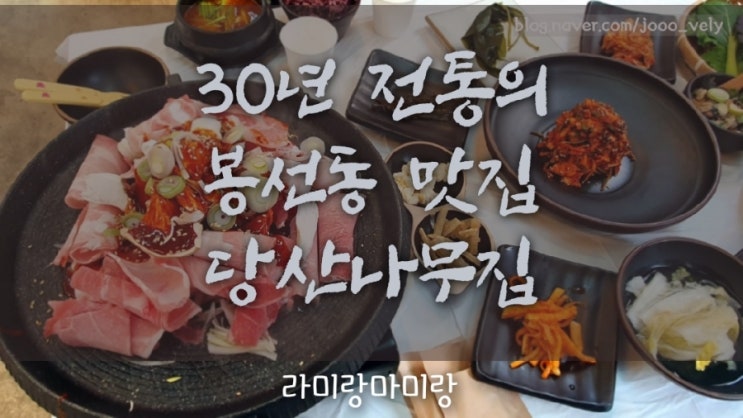  [당산나무집] 봉선동 점심 저녁 맛집 당산나무집