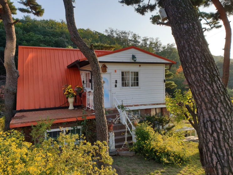  주택 증여 방법 : 부자간 부모자식주택교환 증여저가교환 절세법