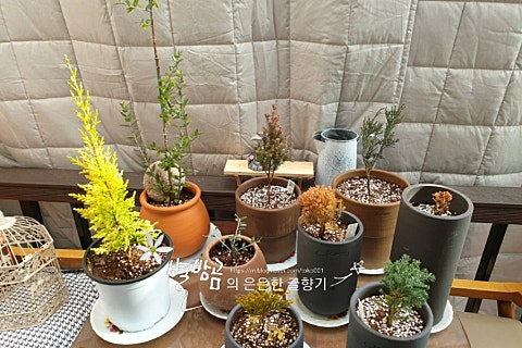 블루투퍼플 이미지