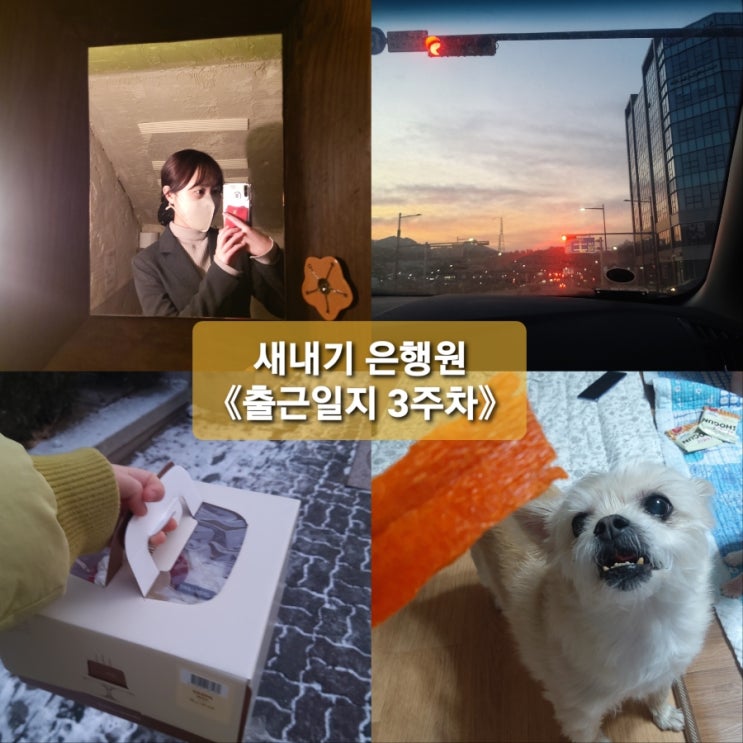  새내기 은행원업무적응기 《셋째주 일주일간의 기록》