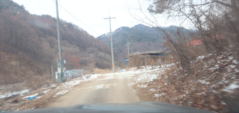 사진 3