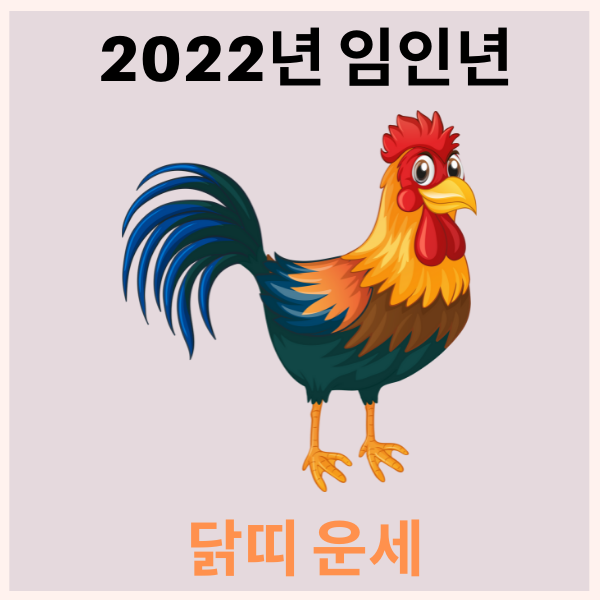 2022년 닭띠 운세 성격 궁합 나이별 운세 확인해 보세요