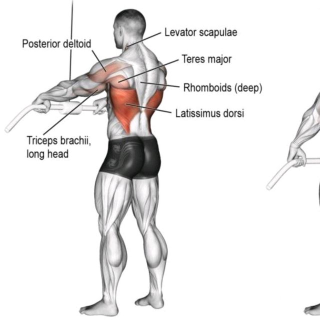  [운동일지] 불광 에이블짐 개인PT - 8회차 (등운동기구; ARM PULL DOWN, FRONT PULL DOWN, LOW ROW)