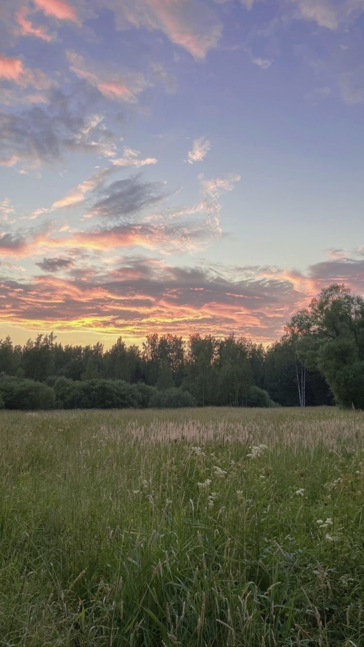 핀터레스트(Pinterest)감성 자연/여름 배경화면 모음!👩🏻‍🌾🏕🌅 : 네이버 블로그