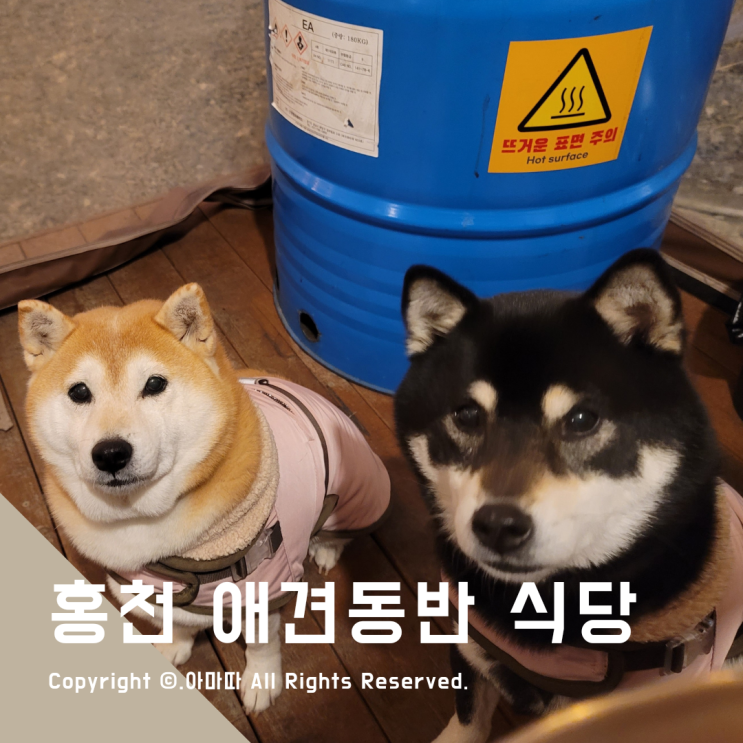  홍천 애견동반 식당 한마음정육식당