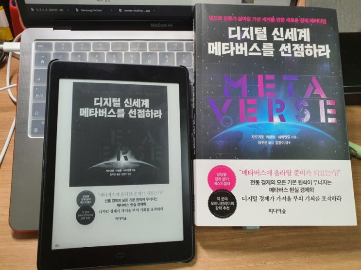  디지털 신세계 메타버스를 선점하라 - 현명한 투자를 위한 메타버스 접근법