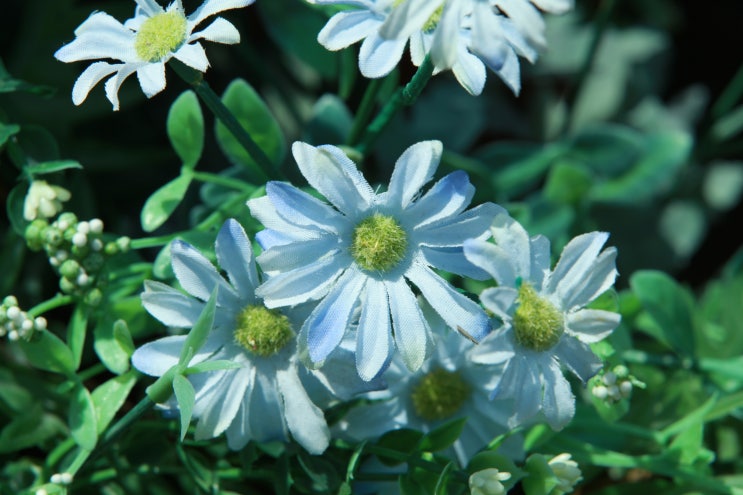  서곡리에서 여덟번째 이야기(무제)